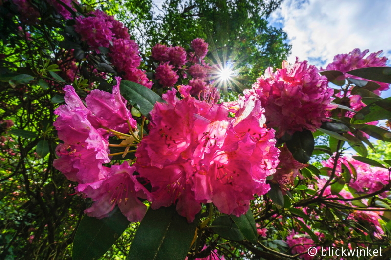 Landschaft im Frühjahr
