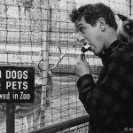 Paul Newman with Louis XIV, Sanford Roth's cat 1956 © 1978 Sanford Roth / AMPAS Paul Newman with Louis XIV, Sanford Roth's cat 1956 © 1978 Sanford Roth / AMPAS