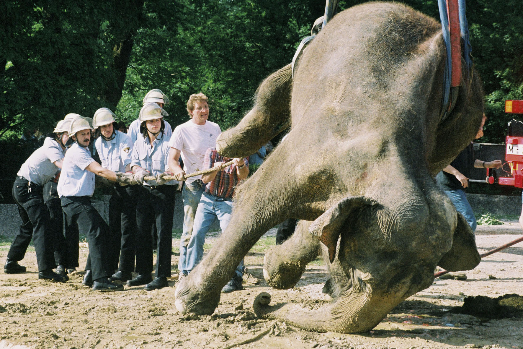 Feuerwehr - Gefahrgutunfall